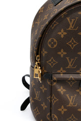 Louis Vuitton Palm Springs PM Backpack