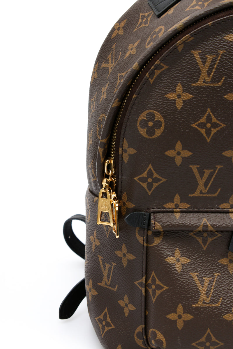 Louis Vuitton Palm Springs PM Backpack