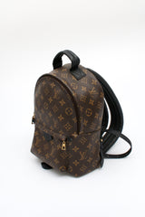 Louis Vuitton Palm Springs PM Backpack