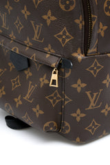 Louis Vuitton Palm Springs PM Backpack