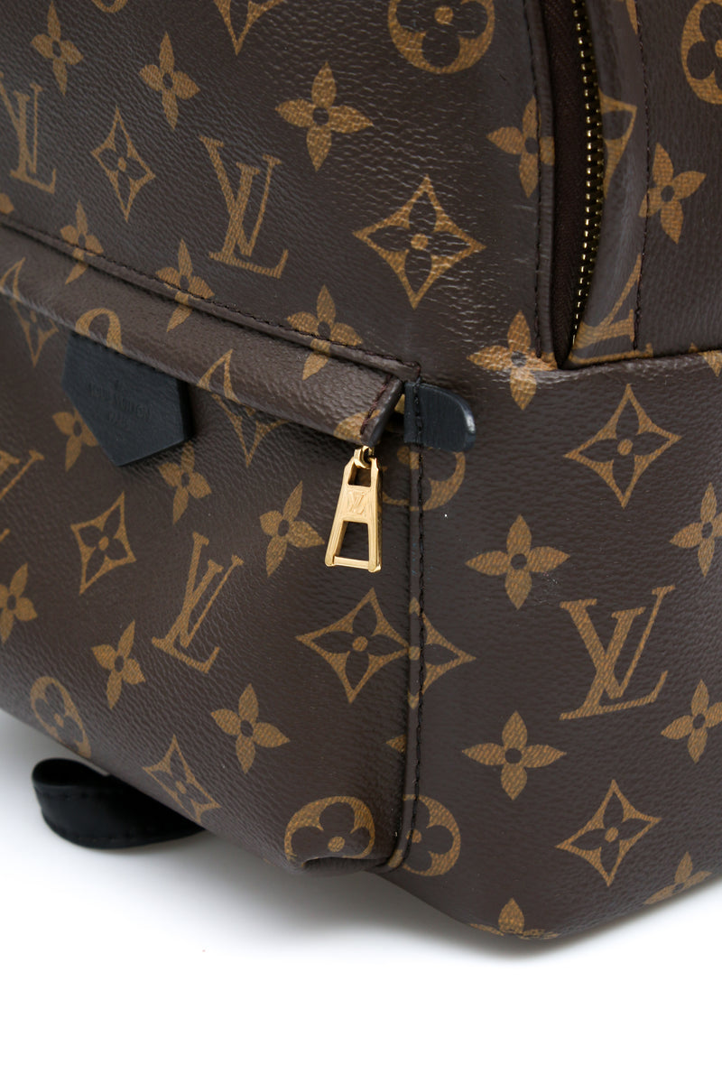 Louis Vuitton Palm Springs PM Backpack