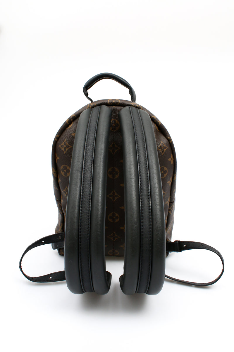 Louis Vuitton Palm Springs PM Backpack