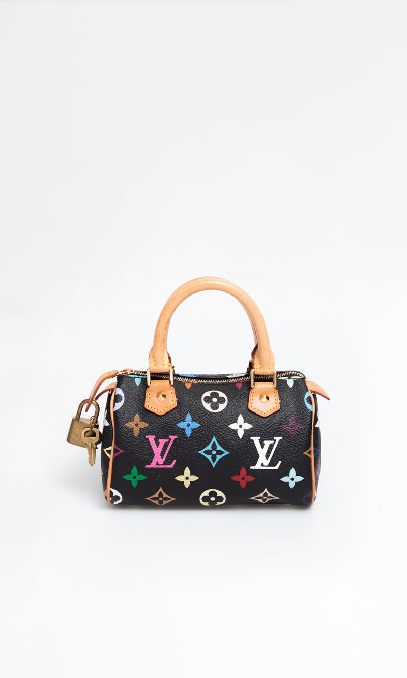 Louis Vuitton Multicolour Nano Speedy