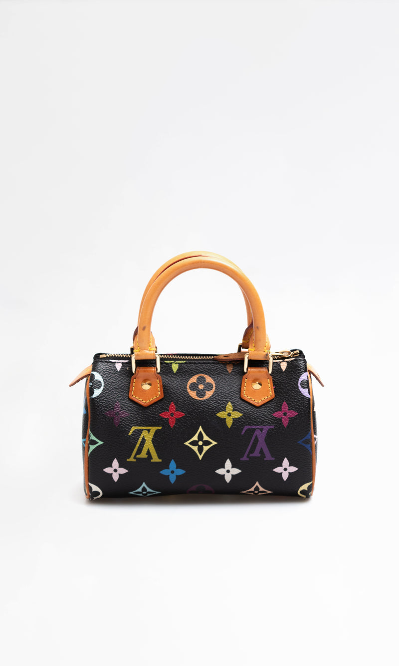 Louis Vuitton Multicolour Nano Speedy