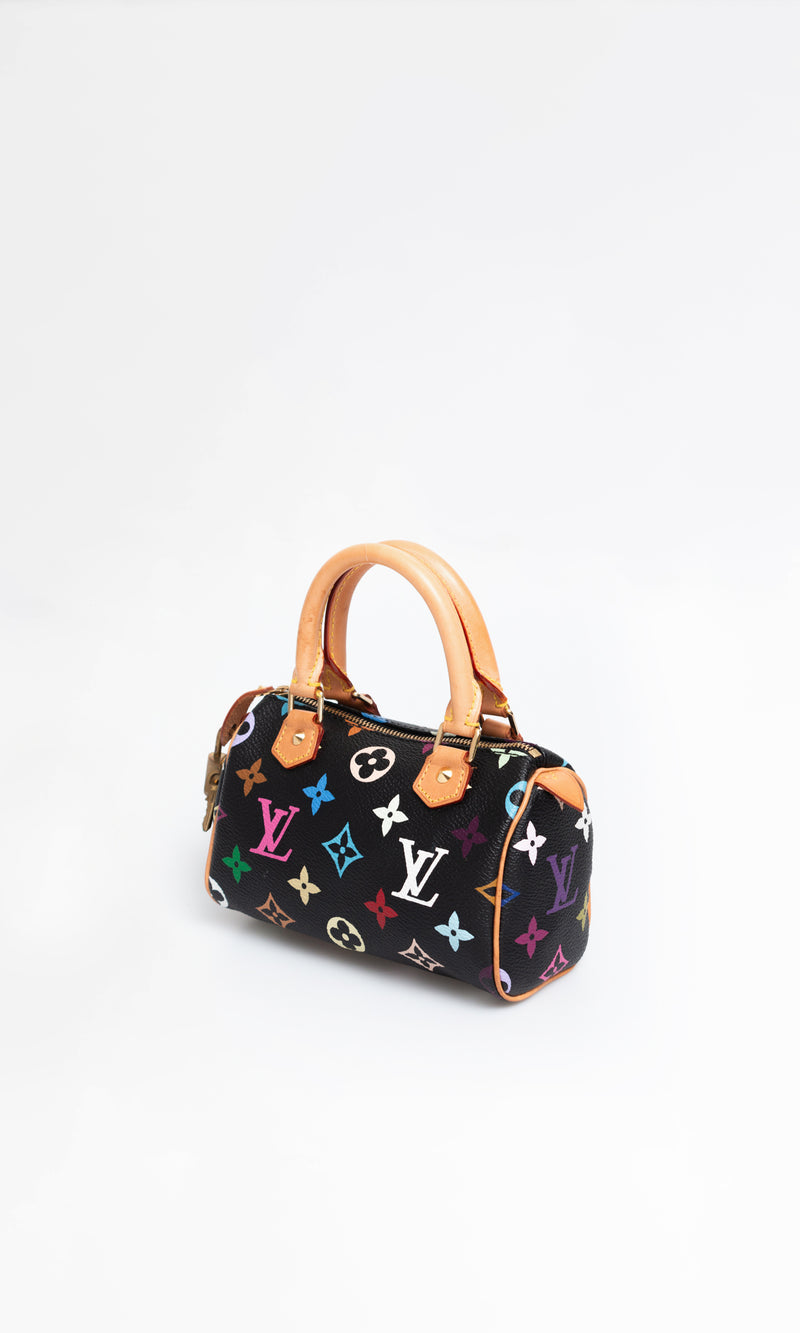 Louis Vuitton Multicolour Nano Speedy